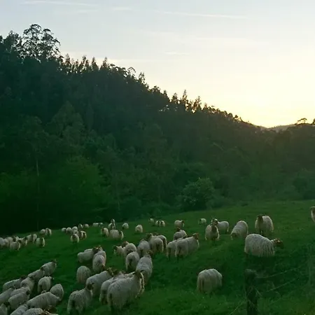 Restaurante Casa Juanchu Adino