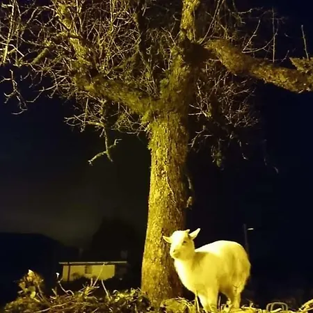 Restaurante Casa Juanchu Hotel *