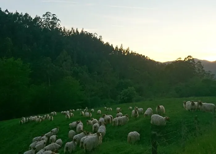 Restaurante Casa Juanchu Adino