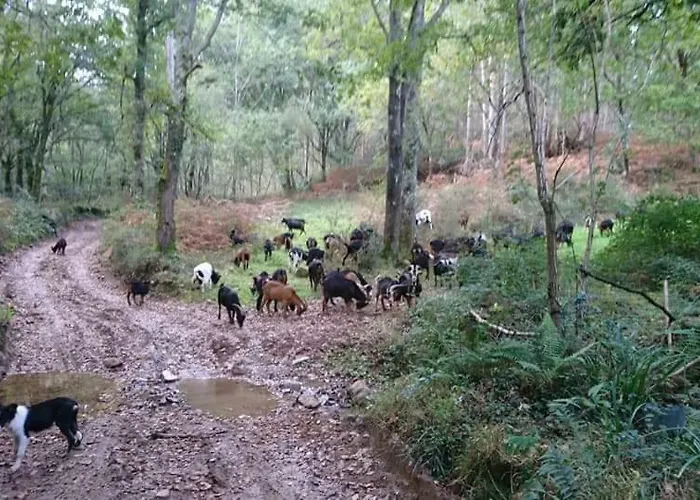 Hotel Restaurante Casa Juanchu Adino