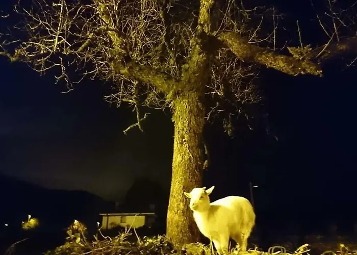 Restaurante Casa Juanchu Hotel *